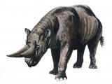 P002 - Arsinoitherium