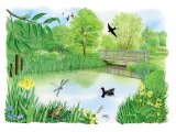 Wildlife Garden CG003