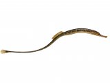 Great Pipefish (Snygnathus acus) F003