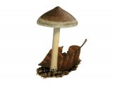 Inocybe petiginosa (Scurfy Fibrecap) FU35