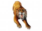 P026 - Smilodon